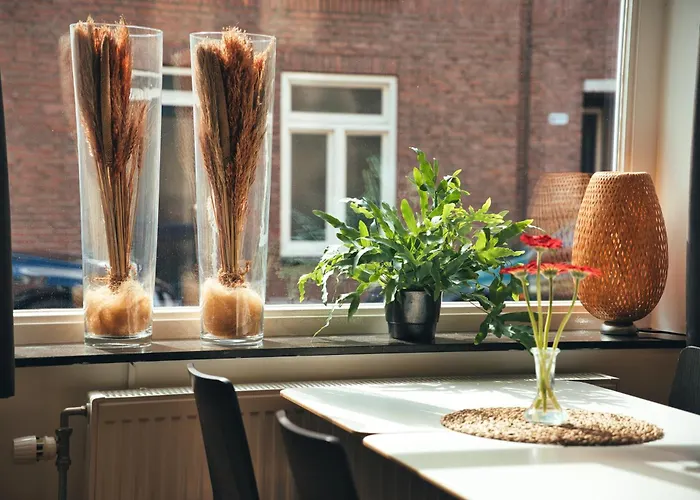 3 sterren hotel: B&B De Hofnar Roermond